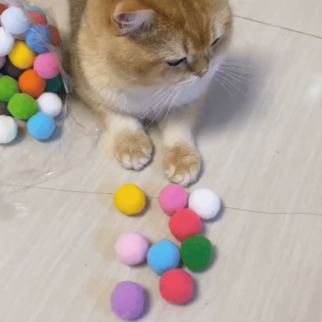 Patimy™  Enerji Savar